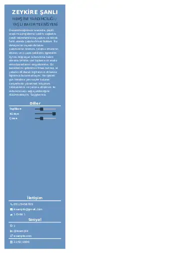 Hasta ve Yaşlı Bakım Elemanı Cv Örnekleri cv indir